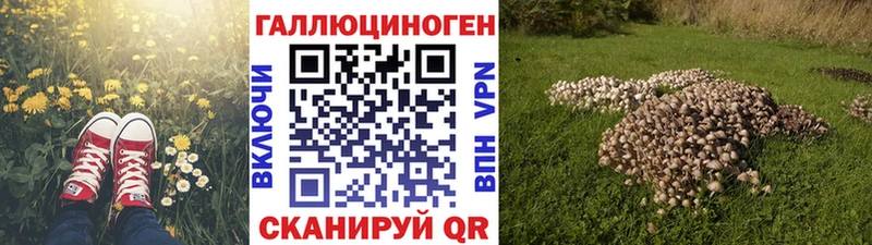 Псилоцибиновые грибы Magic Shrooms  Чишмы 